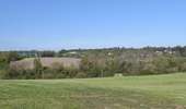 Tour Wandern Welkenrath - suuntoapp-Walking-2026-04-25T08-06-02Z - Photo 7