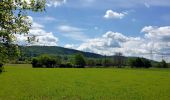 Tour Zu Fuß Unbekannt - WaldWelt - Photo 4