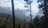 Tour Wandern Levanto - Monte Focone 9.5.23 - Photo 7