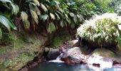 Excursión Senderismo Bouillante - Trou à Diable par la rivière Bourceau - Photo 11