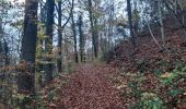 Trail Walking Sprimont - florzé . redoute .  sur la heid . brassine . aywaille . chateau ambleve . totale.  rouvreux . florzé  - Photo 3
