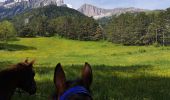 Trail Equestrian Roissard - Trieves - Devoluy - Photo 7