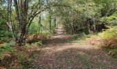 Tour Wandern Bédeilhac-et-Aynat - au pied du Calames - Photo 4