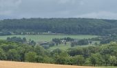 Tocht Stappen Gulpen-Wittem - Epen - Photo 13