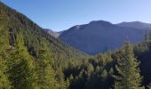 Trail Walking Villars-Colmars -  Cabane Joyeux - Photo 7