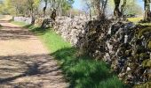 Trail Walking Loubressac - loubressac - Photo 1