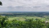 Tocht Stappen Ernolsheim-lès-Saverne - 2019-05-30 Marche Mt St Michel Ernolsheim les Saverne Reel - Photo 8