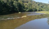 Tour Wandern Bouillon - Belle rando très sportive au départ de Rochehaut  - Photo 13