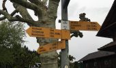 Tocht Te voet Emmen - Waldibrugg - Hirselen - Photo 3