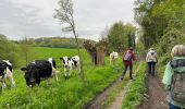 Trail Walking Ottignies-Louvain-la-Neuve - #240412 - 3 bois : de Bustons, des Corbeaux et des Volontaires (courte) - Photo 10