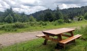 Tour Wandern Markirch - 2020-06-20 Marche Tete du Violu Col de Ste Marie - Photo 12