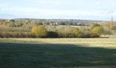 Excursión A pie Wychavon - Pershore Bridges Circular Walk - Photo 4