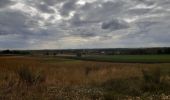 Tocht Stappen Borgloon - randonnee de l eglise fantôme  (doorkijkkerkje) - Photo 7