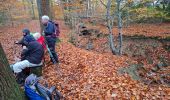 Trail Walking Spa - RS Spa 2024_11_17 - Photo 5
