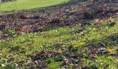 Trail Walking Chasselay - Chasselay chemin de Fromentin vers Limonest Mt Verdun - Photo 8