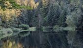 Excursión Senderismo La Bresse - VOSGES 2023 - Jour 1 - Le Lac aux Corbeaux - Photo 8