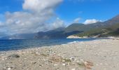 Tocht Stappen Patrimonio - sentier du littoral de St Florent à Punta di Saeta - Photo 1