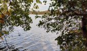 Trail Walking Mechelen - Mechels Broek  - Photo 17