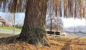 Percorso Marcia Borgloon - Promenade vers l'Aeneas Wilder  - Photo 8