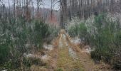 Tour Wandern La Roche-en-Ardenne - rando warempage 10/12/2020 - Photo 11