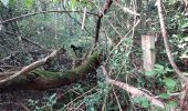 Trail Walking Livron - Livron bois et chats11082021 - Photo 1