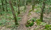 Trail Walking Saint-Gervais-la-Forêt - Saint-Gervais-la-Forêt - Chailles - Photo 13