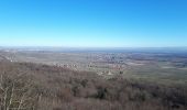 Tocht Stappen Eguisheim - marbach osenburh schauenberg marbach - Photo 10