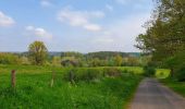 Tocht Stappen Gedinne - Balade à Gedinne - Photo 8