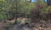 Trail Walking Waimes - Peak brune - Photo 1