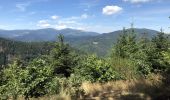 Trail Walking Thann - Thann-Abri Baumann-Vue Zuber - Photo 2
