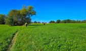 Excursión Senderismo Floreffe - Marche Adeps à Floreffe - Photo 12