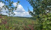 Trail Walking Court-Saint-Étienne - Tangisart - Photo 7