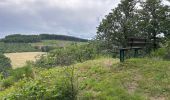 Tour Wandern Feitweiler - Tintange 25,3 km - Photo 3