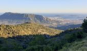 Excursión Senderismo Évenos - Le Mont CAUME - Photo 4