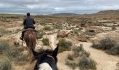 Trail Horseback riding Bardenas Reales de Navarra - Bardenas jour 6 - Photo 12