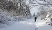 Excursión A pie Jalhay - Balade dans les Hautes Fagnes - Photo 3