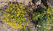 Trail Walking Sainte-Anastasie-sur-Issole - Saint Quinis - Ste Anastasie - Photo 9