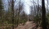 Tour Wandern Léglise - Ebly - La Claire Fagne - Photo 2