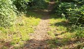 Tocht Stappen Mettray - Mettray - Sentier de la Grotte aux Fées  - Photo 9