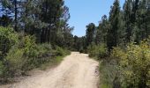 Trail Walking Ghisonaccia - forêt de pinia, étang,mer - Photo 2