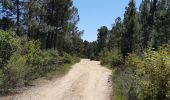 Randonnée Marche Ghisonaccia - forêt de pinia, étang,mer - Photo 2