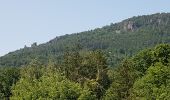 Tour Wandern Unknown - Baden Baden - châteaux Hohenbaden et Eberstein - coliine Merkurberg - Photo 9