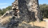 Tour Wandern Laroque-des-Albères - laroque . fontaine dels simino - Photo 8