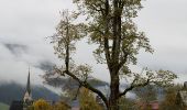 Tour Zu Fuß Gosau - Herrenweg - Photo 2