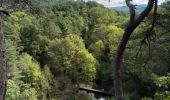 Tocht Stappen Nant - Sce du D'ourson Léa Cabanelles - Photo 18