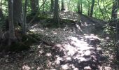 Trail Walking Magny-les-Hameaux - bois des roches - Photo 9