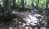 Randonnée Marche Magny-les-Hameaux - bois des roches - Photo 9
