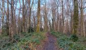 Trail Walking Liège - tourniquet au sart-tilman  - Photo 10