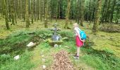 Trail On foot Bouillon - Lannoo GrWandArd 79 Bellevaux de watermolenwandeling (PVDB) - Photo 3