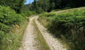 Tocht Stappen Soudeilles - F 2024 puy de la tourte Soudeilled - Photo 1